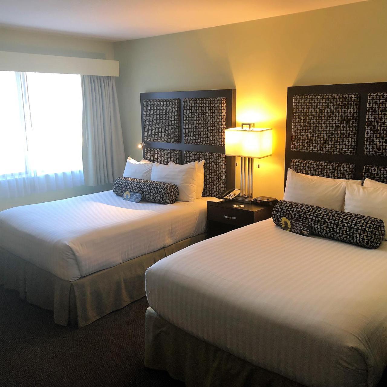 Deluxe Double or Twin Room,1211767564:JPEG