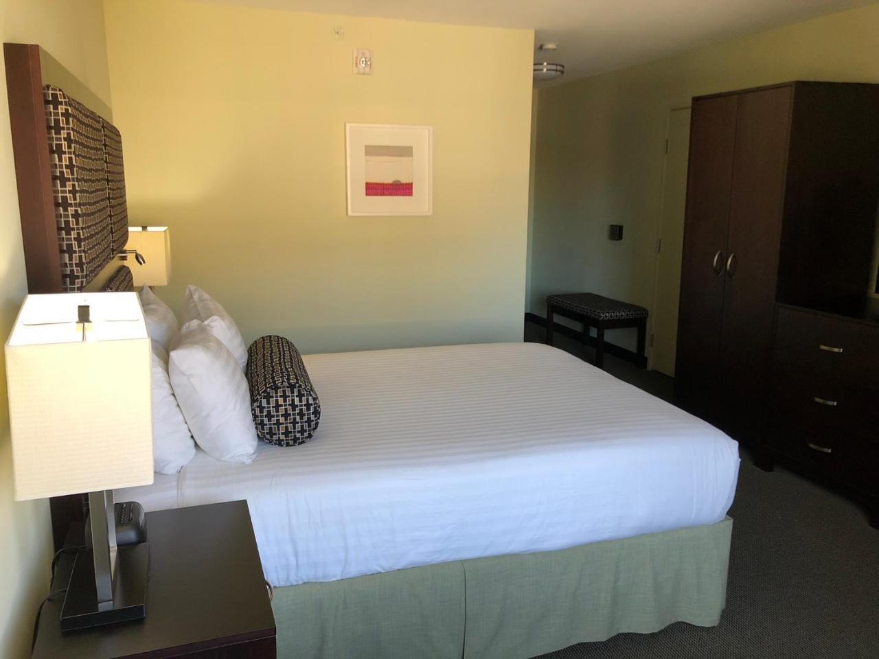 Deluxe Queen Room Roll Shower Disability Access,1424210880:JPEG
